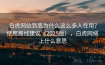 白虎网站到底为什么这么多人在用？使用路线建议（2025版），白虎网络上什么意思