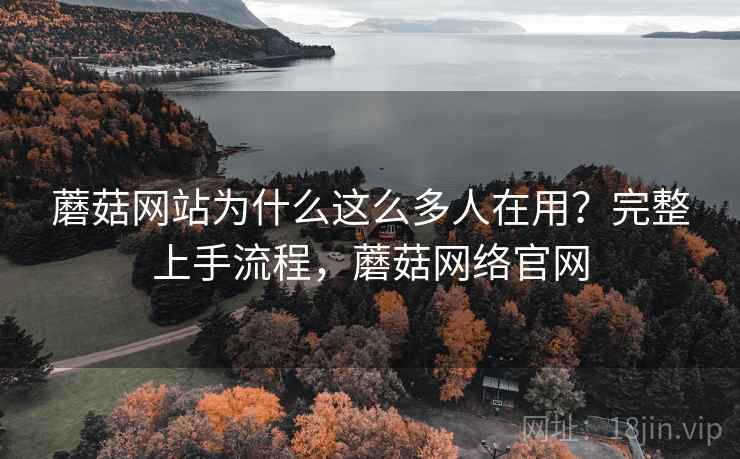 蘑菇网站为什么这么多人在用？完整上手流程，蘑菇网络官网  第2张