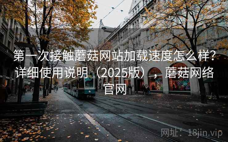 第一次接触蘑菇网站加载速度怎么样？详细使用说明（2025版），蘑菇网络官网  第1张
