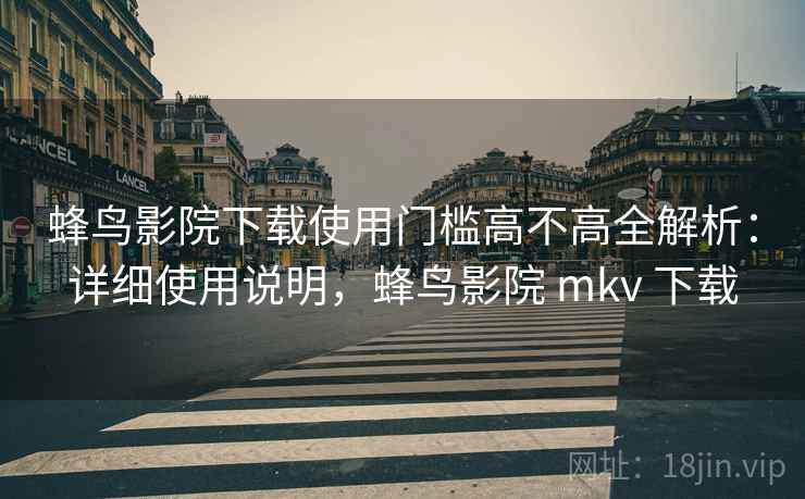 蜂鸟影院下载使用门槛高不高全解析：详细使用说明，蜂鸟影院 mkv 下载  第1张