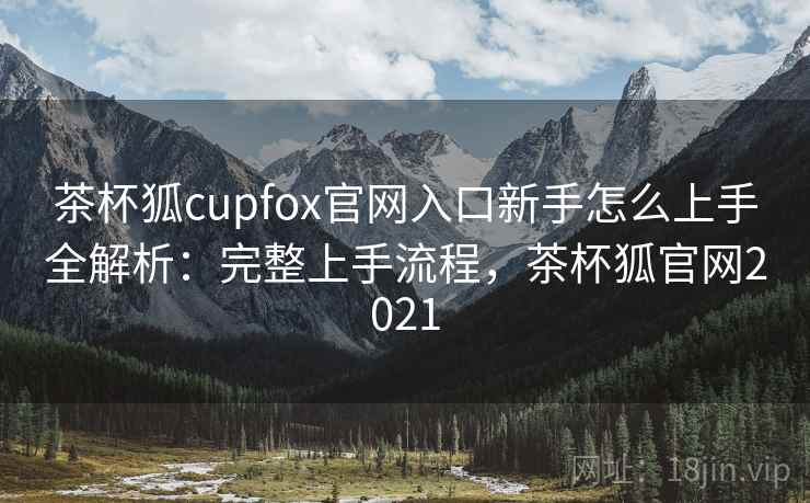 茶杯狐cupfox官网入口新手怎么上手全解析：完整上手流程，茶杯狐官网2021  第2张