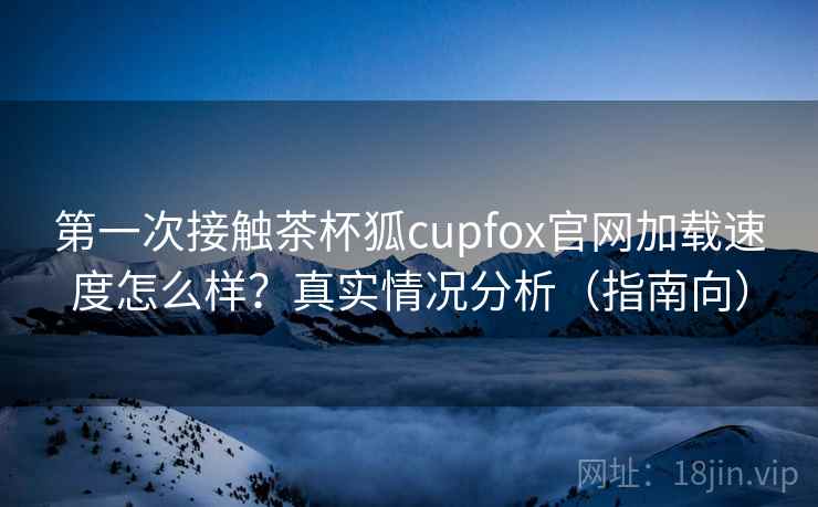 第一次接触茶杯狐cupfox官网加载速度怎么样?真实情况分析(指南向) 第2张 第一次接触茶杯狐cupfox官网加载速度怎么样?真实情况分析(指南向) 第2张