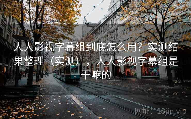人人影视字幕组到底怎么用？实测结果整理（实测），人人影视字幕组是干嘛的  第2张